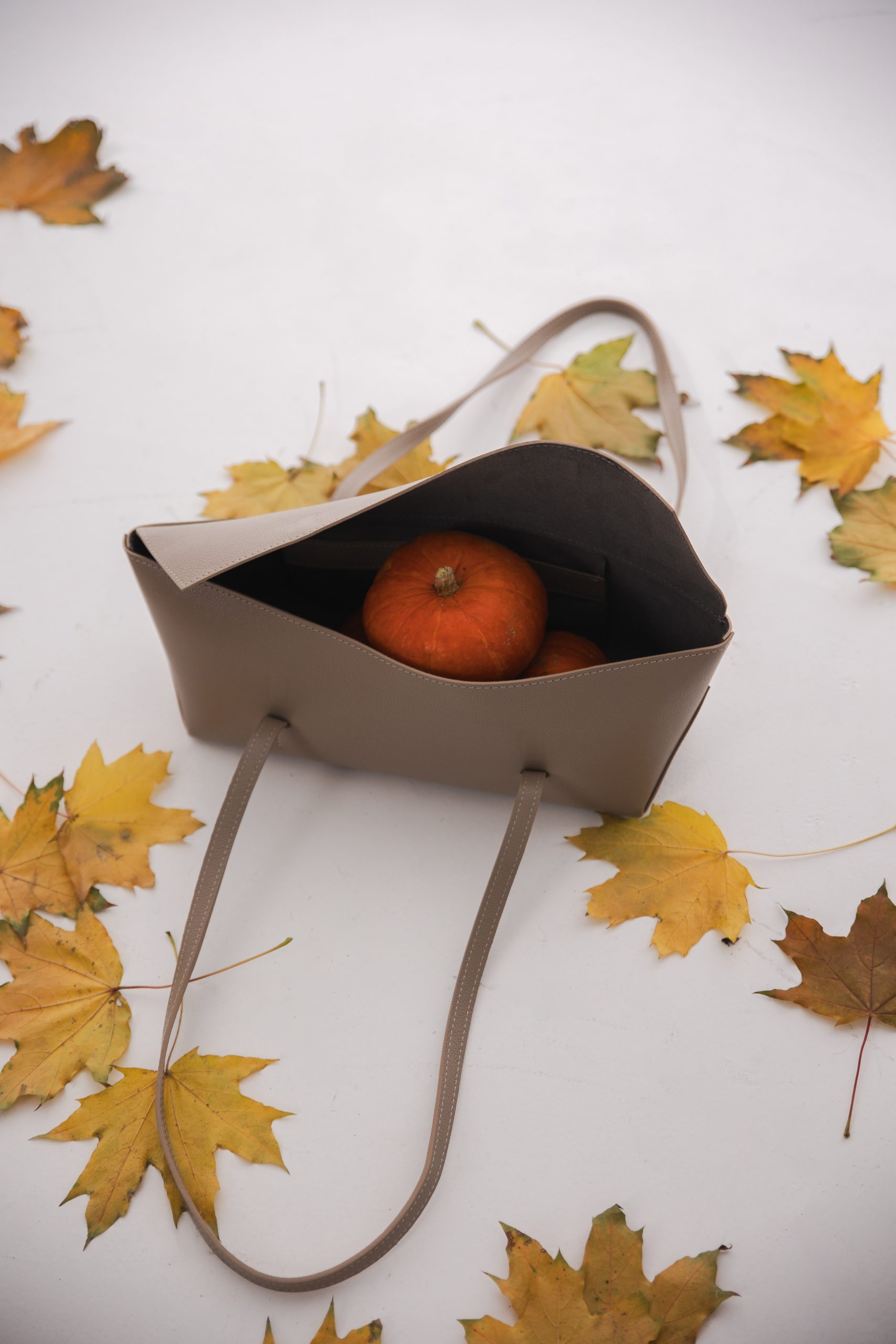 Avullore big - Image 9