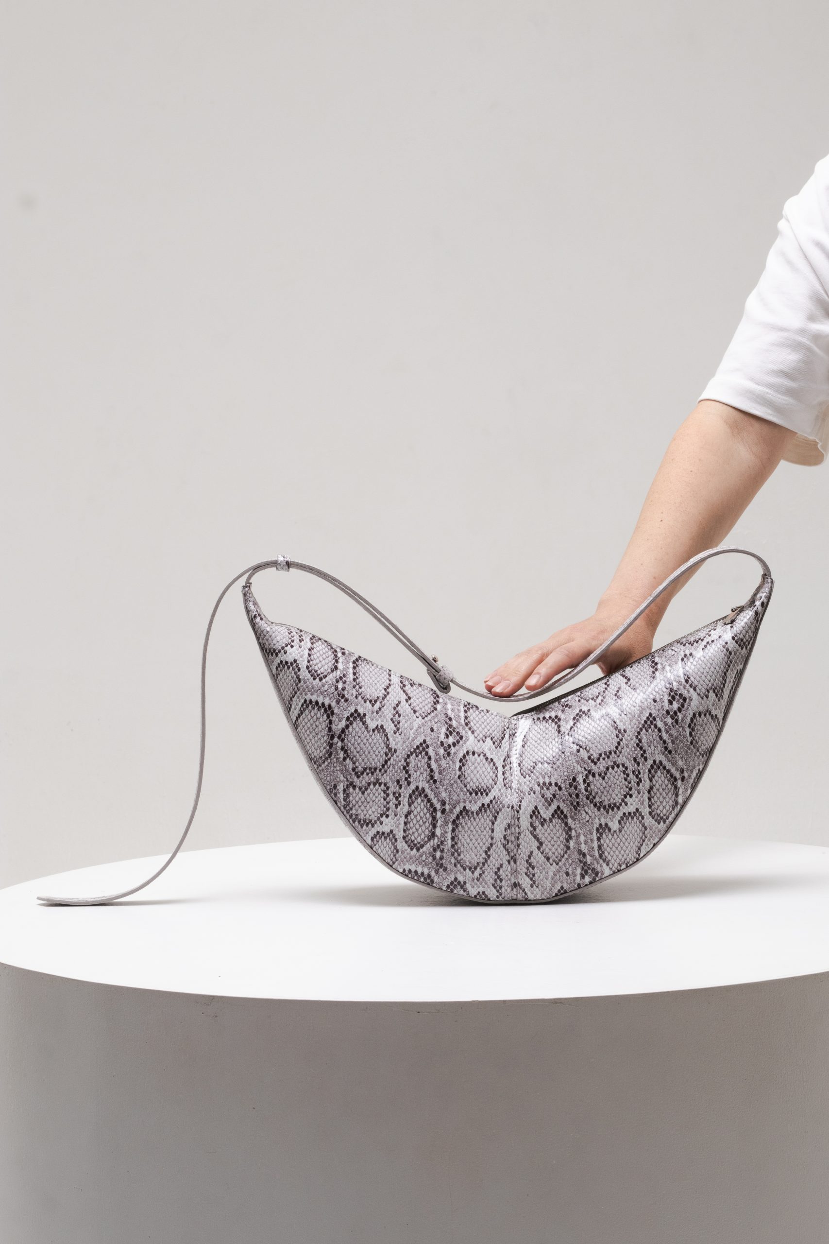 MARAMA  Smoky python